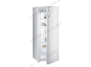 Холодильник Gorenje F4151CW (465180, ZOS19263) - Фото